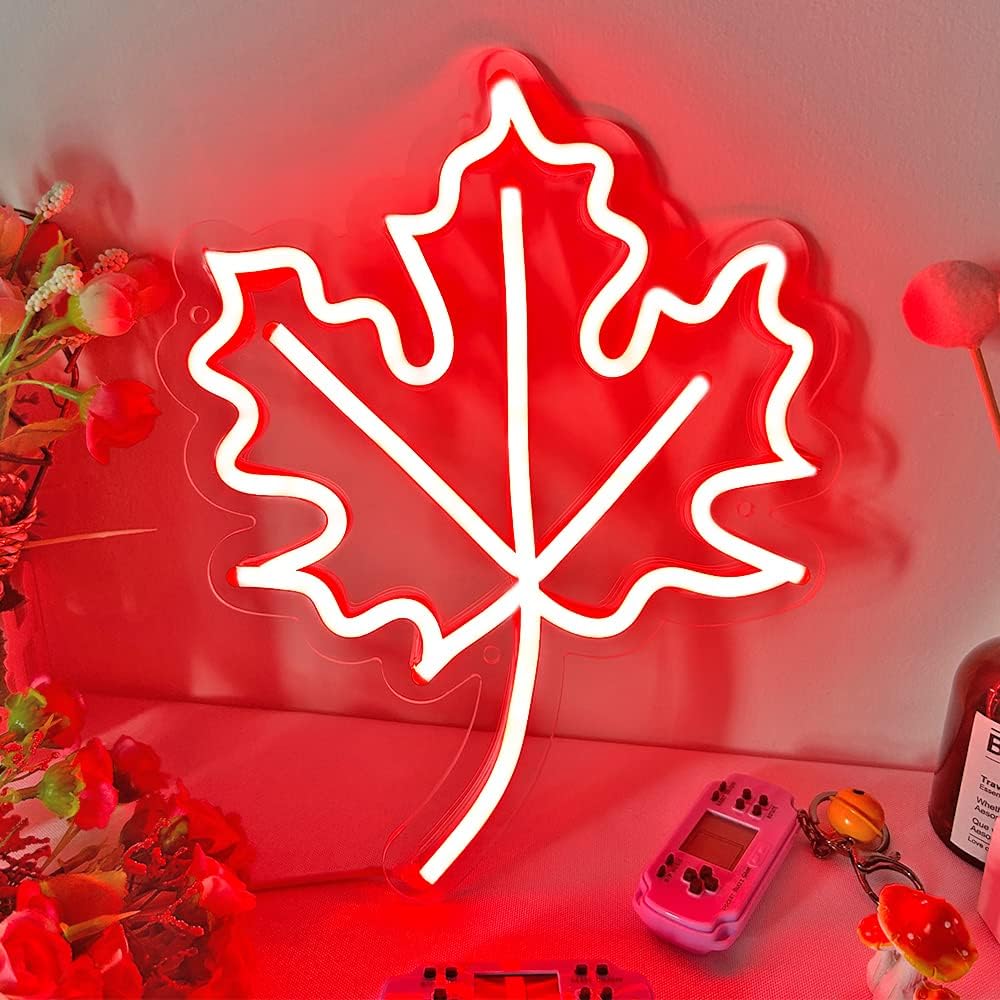Outdoor Lighting Canada - Insegna al Neon Dimmerabile a Forma