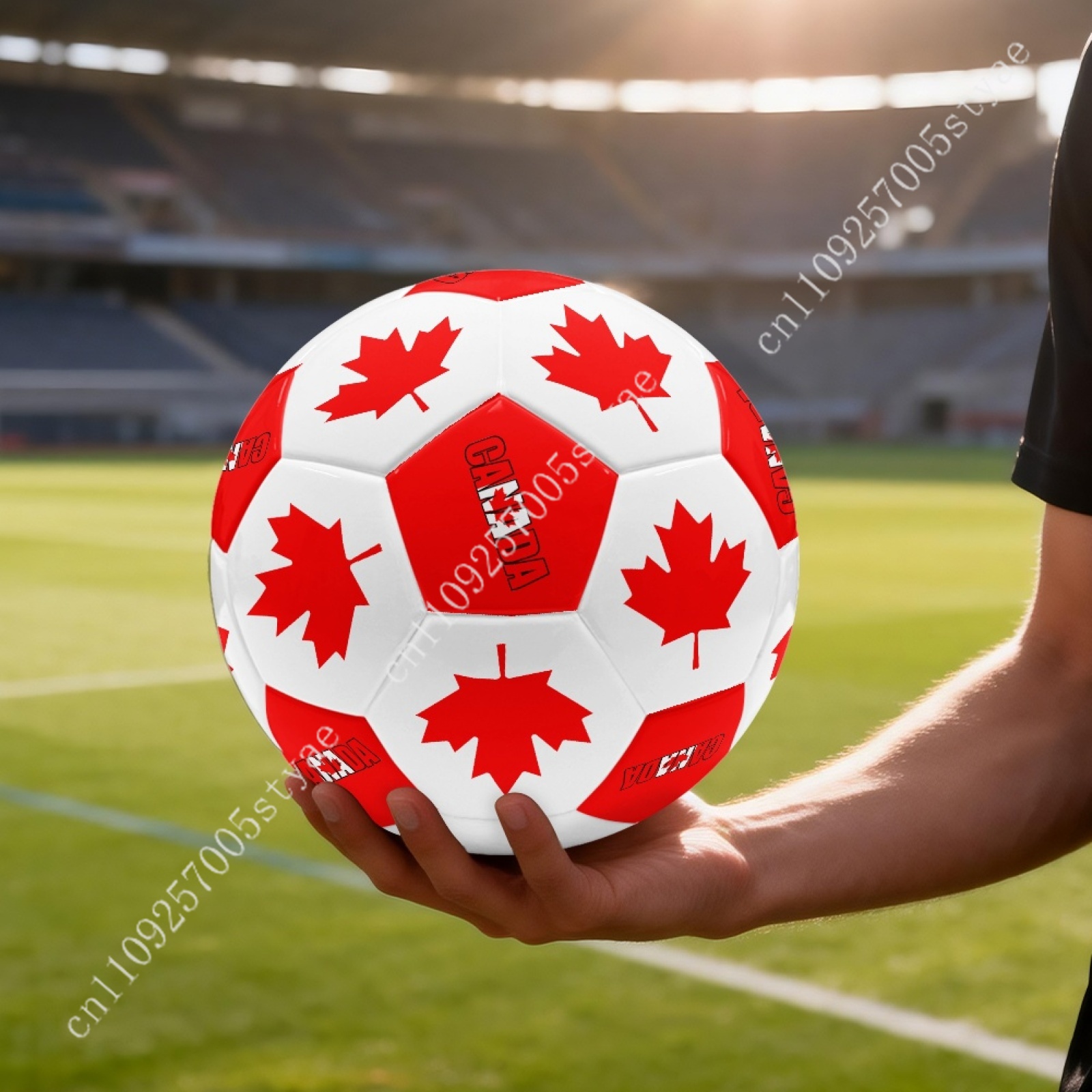 Pallone da Calcio con Bandiera - Outdoor Lighting Canada recensione e prezzo