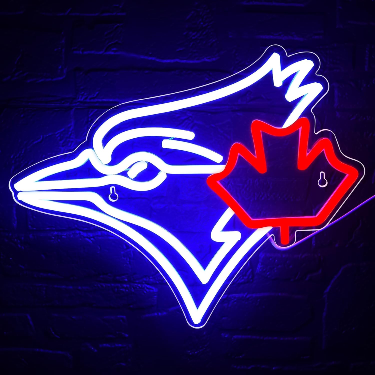 USB dimmerabile Blue Jay con i - Outdoor Lighting Canada recensione e prezzo