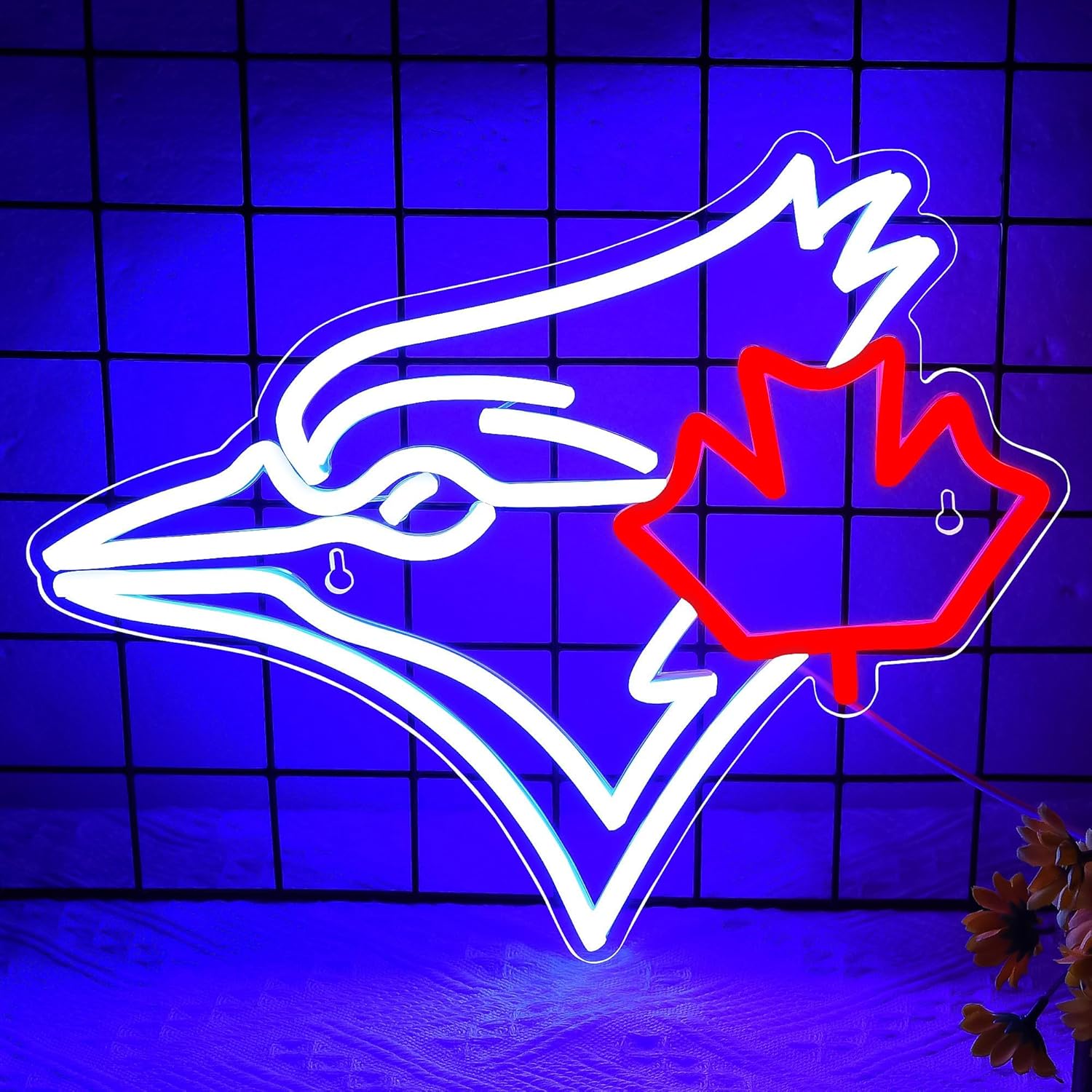USB dimmerabile Blue Jay con i - Outdoor Lighting Canada recensione e prezzo